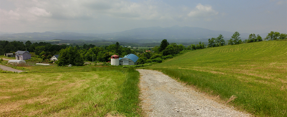 洞爺湖の牧場