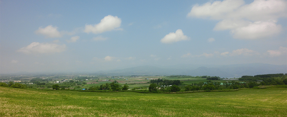 洞爺湖の牧場