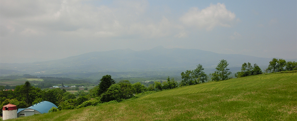 洞爺湖の牧場