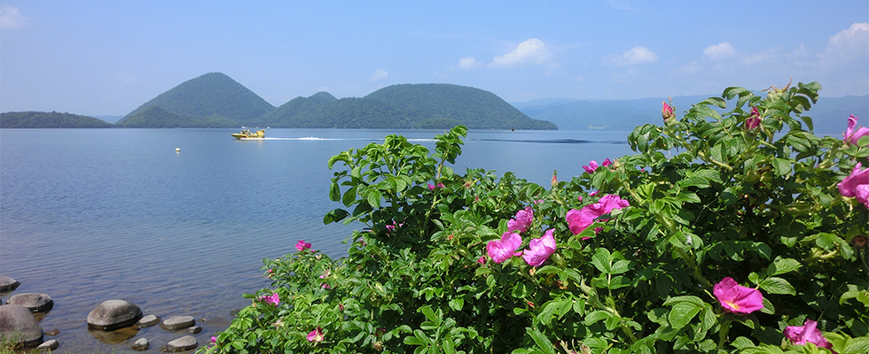 洞爺湖壮瞥温泉の公園