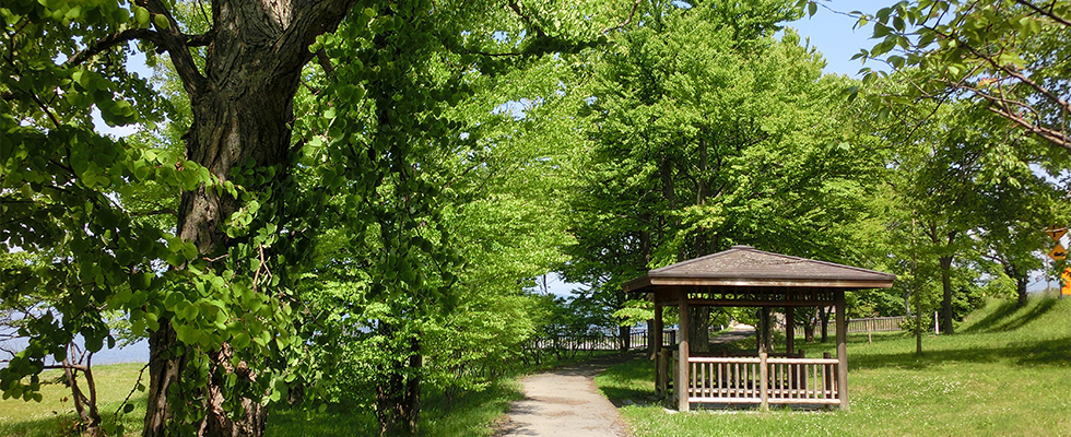 洞爺湖壮瞥温泉の公園