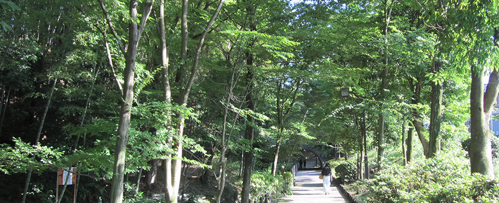 港北ニュータウン