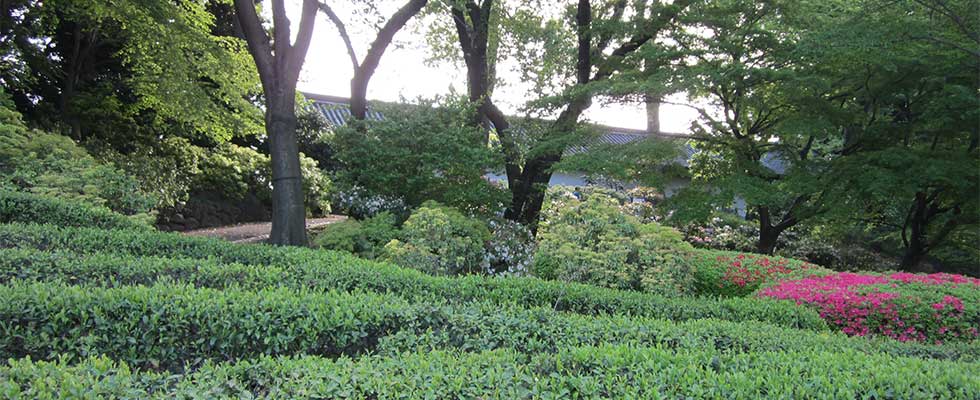 皇居東御苑